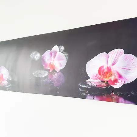 Apartment Tiya-gare Sur Marne-parking Gratuit *